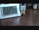 20120116（月）①被害記録画像（世界に鑑賞者がいてくれる）