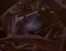 遊戯王ＧＸでムーンライト伝説