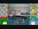 【ポケモンBW2】ゆっくりにとりのフレ戦回VSシュウ後編【ゆっくり実況】