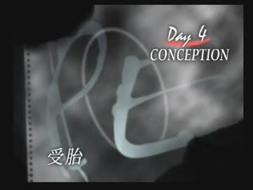 ◆パラサイト・イヴ　実況プレイ◆part11