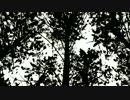 Bon Iver 【 Calgary 】Official PV