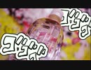 【ペットボトル】猫にまつわるエトセトラ【ぬこぬこ動画】