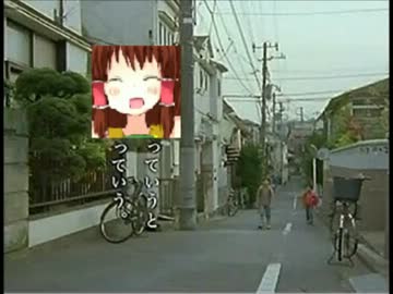 神社でしょうか.wmv