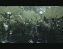 歌ってみた：もののけ姫（アコギにのせて）