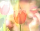 【怒涛の】火曜日/空室【People In The Box】