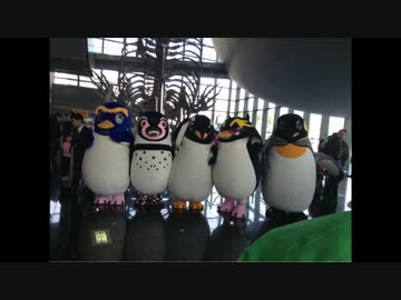 【SLH】下関市のゆるｷｬﾗがワンダホー・ニッポン!踊ってみた【海響館】