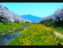 作業用エロゲBGM  春っぽいまったりBGM集