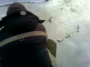 氷の穴から湧き出る魚