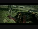 【ドラゴンズドグマ実況】美女ポーンの尻を追いかけニシエヒガシエpart47