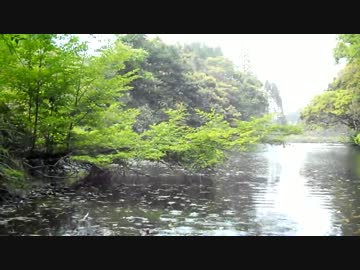 【ニコニコバス釣りダービー】　近くの野池でちょっとバス釣り　その4