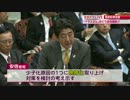 安倍首相に TVサザエさんの「波平さん」が何歳か質問する民主