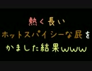 熱く長いホットスパイシーな屁をかました結果ｗｗｗ【2ch】