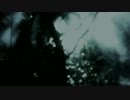【DIR EN GREY】独葬（DOKUSOU）-Kyo【京】