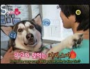 SHINee 年下の男の子 ep5 1/2