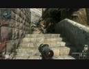 【PC版CoD:BO2】みるくのFFA　11回　SVU-AS  28HeadShot