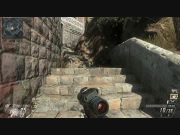 【PC版CoD:BO2】みるくのFFA　11回　SVU-AS  28HeadShot