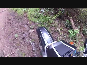 [黒鹿と] 伝説の腐道704号線に行ってみた。パート3（おまけ）