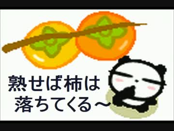 【桜井誠】暴力集団・シバキ隊の逮捕はいつ？【TBSと有田ヨシフ】