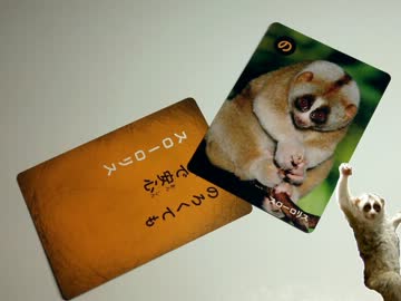 生物カルタの中に侵入したスローロリスくんUC