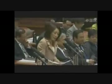 04.24 参議院予算委員会　徳永えり