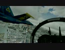 FSX 編隊飛行in 東京　　