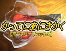 かってにあにきかく２－１１【マンスリーチェック４】