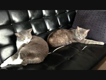 まったりモアクリ