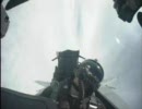 We survive _ F-15J_DJ