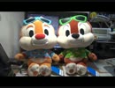 ＴＤＳレポート2013年4月26日「チップとデールとクラリス＆祝30年の花火」