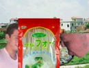迫真空手部、ベトナム料理を食べる.avi