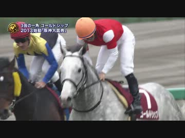 2013年 第61回 阪神大賞典 ゴールドシップ