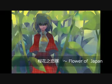 桜花之恋塚　～ Flower of Japanを演奏してみた