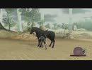 ワンダと巨像と実況と　－11体目－