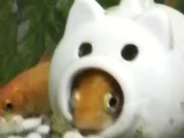 お気に入りの場所