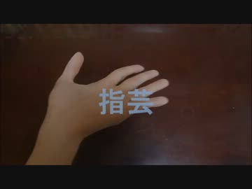 指芸 その5 Nicozon