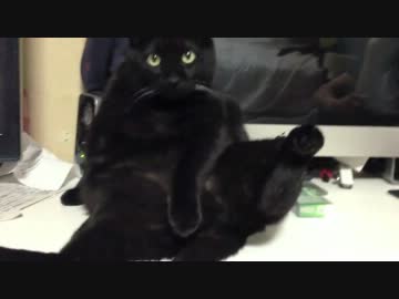 こうやって、体をなめ、な、なめっ・・・！（ry
