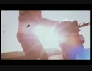 ダカール・ラリーの映像集