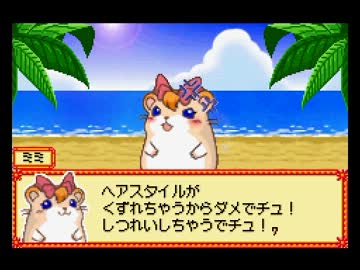 実況】ハムスターパラダイスピュアハート 第8ハム【キューピッド