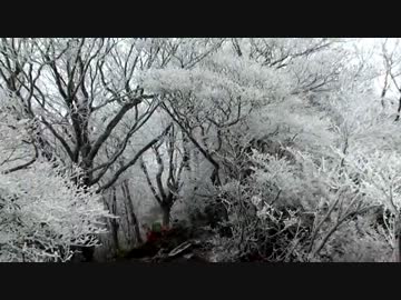 日本百名山に登ってみた85B　赤城山(黒檜山)編