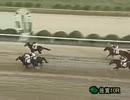 2012年10月14日佐賀競馬10R 雲仙岳特別(A1･A2･A3) レイズミーアップ