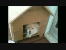 歌ってみた　38歳男　一人の部屋　TULIP(チューリップ)