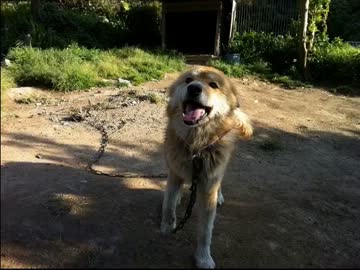 【永井先生】マサムネ配信その３