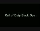 【COD:BO】適当VP風動画【PC版】