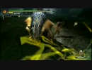 【MH3GHD実況】ちょっくら○○狩ってくるG　part9