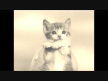 【ニコラップ】 Drop 【秋宮】