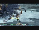 [PSO2]AD凍土夫婦討伐[Fi/Hu]ダブルセイバー