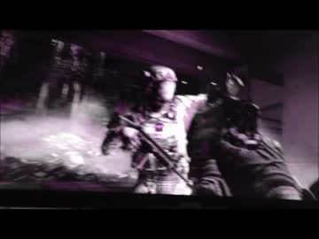 BO2 キャンペーン進行中にバグが起きた