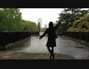 千本桜 踊ってみた【❀ぼたん】
