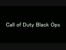 【PC版】適当編集デュアル動画エコノミー回避版【COD:BO】