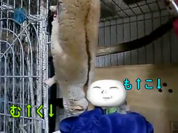 とってもフキゲンなも↑こ↓くん＋おまけ.Yutaka